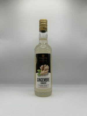 Sirop Gingembre "Spécial Bar" Eyguebelle 50cl